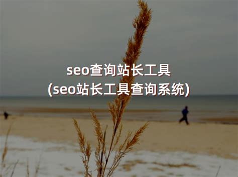 SEO优化总结_tkd查询工具-CSDN博客