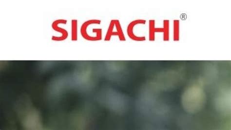 Sigachi industries IPO share allotment status: Here is how to check ...
