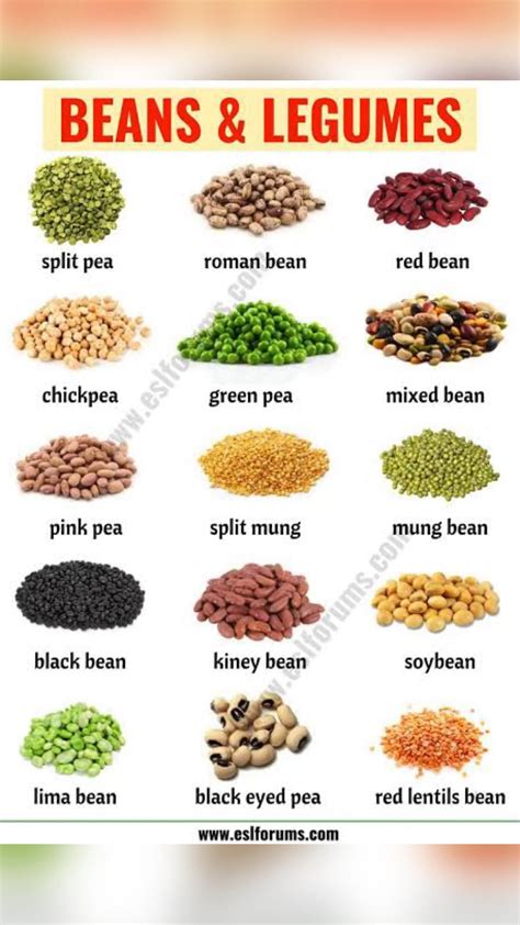 Legumes list and how to cook them – Artofit