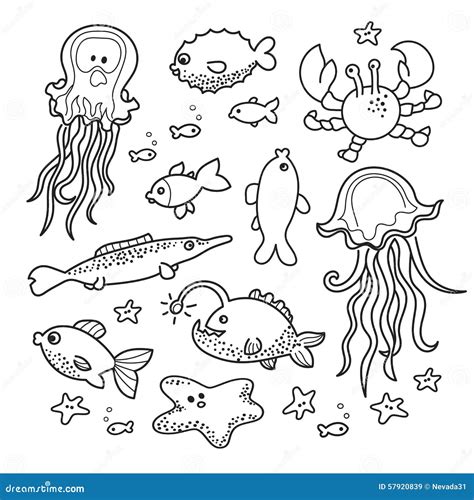 Truth of The Talisman: Sea Creatures Coloring Book