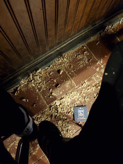 Throw Peanuts On Floor at Antonio Fore blog