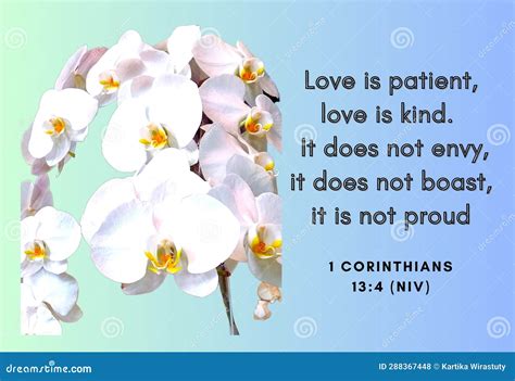 Bible Verse 1 Corinthians 13:4 Love is Patient Stock Illustration ...
