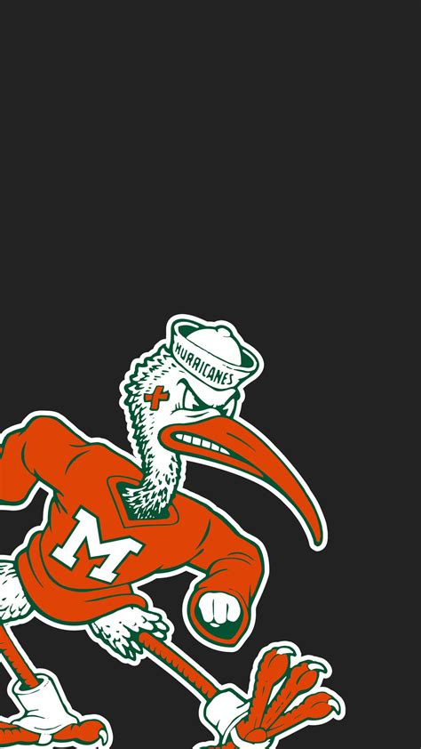 Sketch Of U Of Miami Ibis
