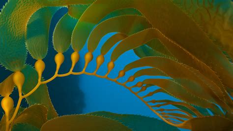 必应 的图像结果