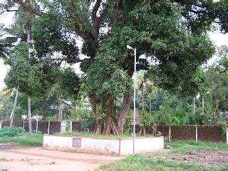 Perunnai - JungleKey.in Image