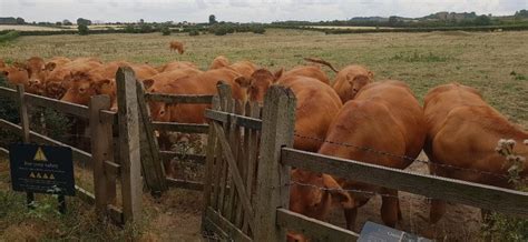 THE 5 BEST Places to Visit in Kirton in Lindsey (2026)