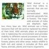 Article on jungli animals - Brainly.in