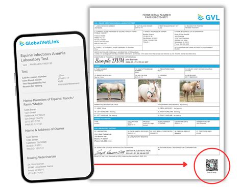 SmartCert Technology | GlobalVetLink