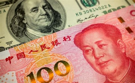 Counter Cyclical Factor 的图像结果