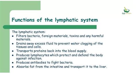Image result for Lymphatic system Functions