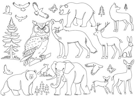 Animals Line Drawing Vectors & Illustrations for Free Download