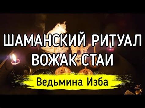 ШАМАНСКИЙ РИТУАЛ. ВОЖАК СТАИ. ТОЛЬКО ДЛЯ ПРАКТИКОВ / ВЕДЬМИНА ИЗБА ...