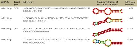 In silico screening and analysis of candidate microRNA-target ...