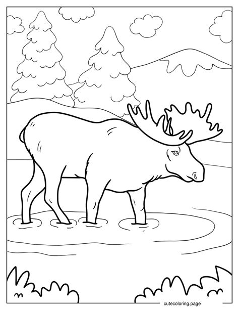 Moose Coloring Page Kids