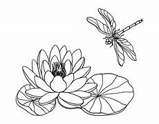 disegni fiore di loto disegno di fiore di loto da colorare acolore disegni fiore di loto disegno di fiore di loto da colorare acolore