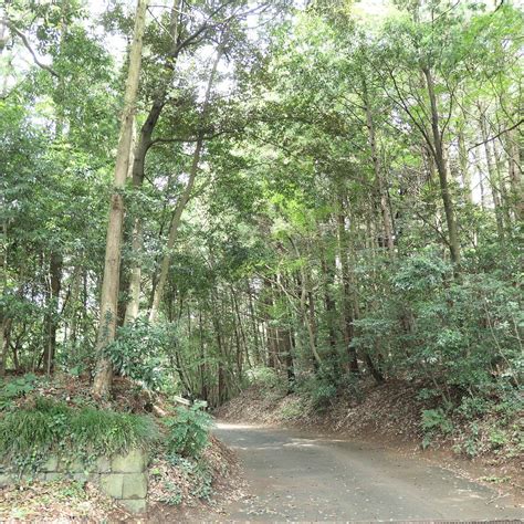 OGO SHRINE - All You Need to Know BEFORE You Go 2026 (with Photos ...