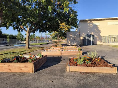 Beachy Garden – Enrichment – Beachy Avenue Elementary