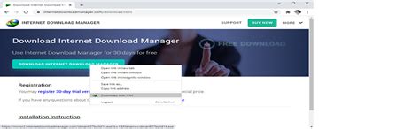 IDM | Internet Download Manager 100 licences | Lifetime License with ...