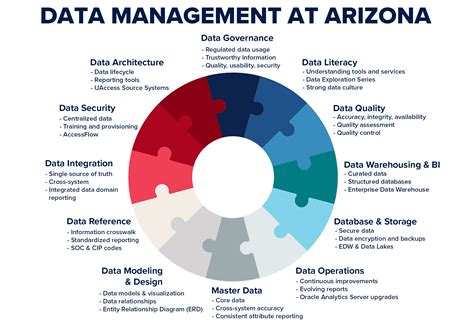 Image result for Understanding Data Management