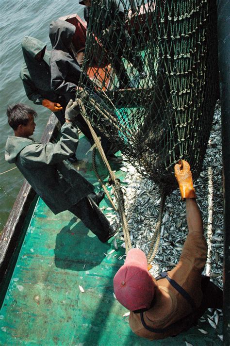 出海打渔·包船出海·体验一次渔民生活·品新鲜海鲜·打卡网红图书馆 - 知乎