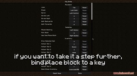 Auto Crystal Mod 的图像结果