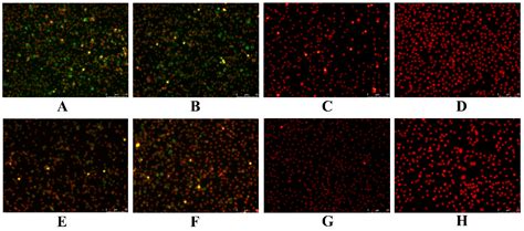 Simultaneous Isolation and Identification of Largemouth Bass Virus and ...