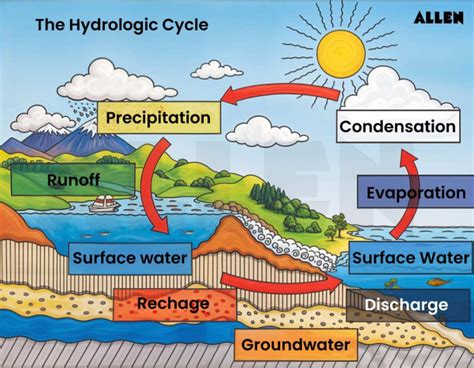 Water Nutrient Cycle