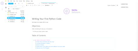 Writing Your First Python Program 的图像结果