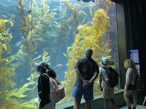 UCSD Middle School Session 1 (July 6-July 11, 2025) - Summer Springboard