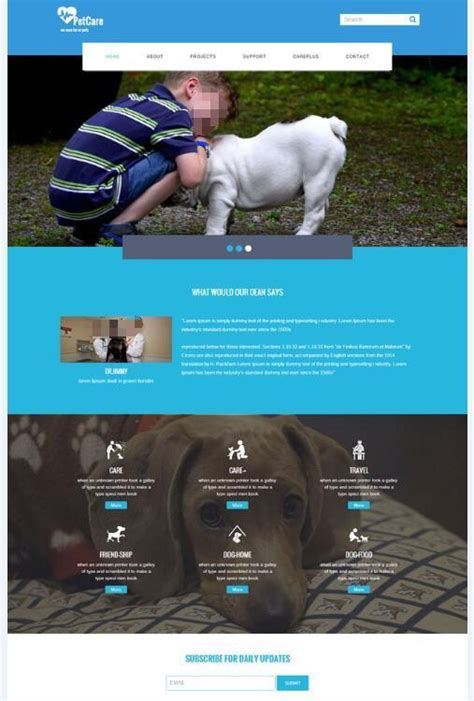 宠物网页设计_宠物店网页设计-海淘科技