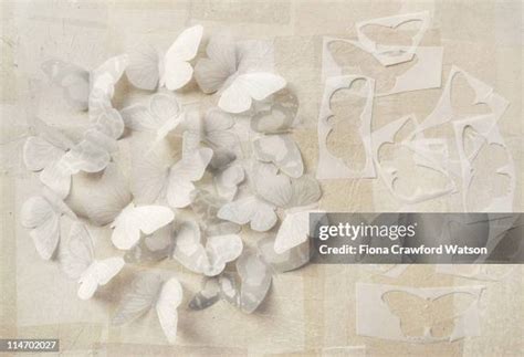 Image result for Paper Flying Buterfly