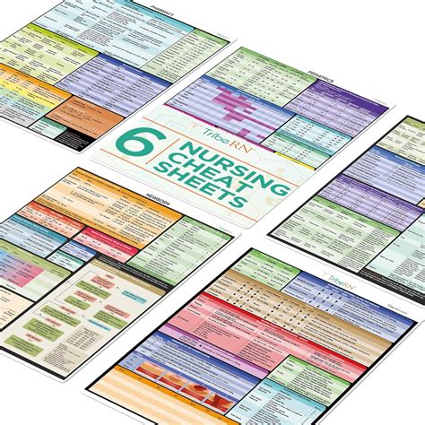 Nursing Cheat Sheets by Tribe RN - 6 Heavy Duty Medical Reference Cards ...
