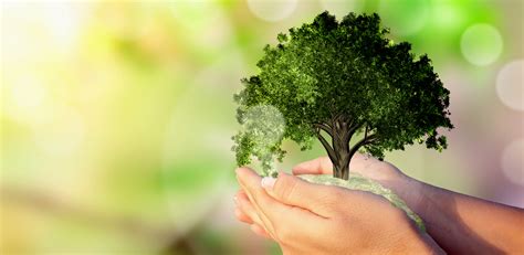 India Signs COP15 Deal, But Concerns Over Undermining Biodiversity Act ...