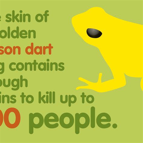 Weird Animal Facts
