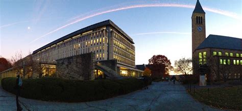 Cornell University 2025: Must-Know Rankings & Admissions!