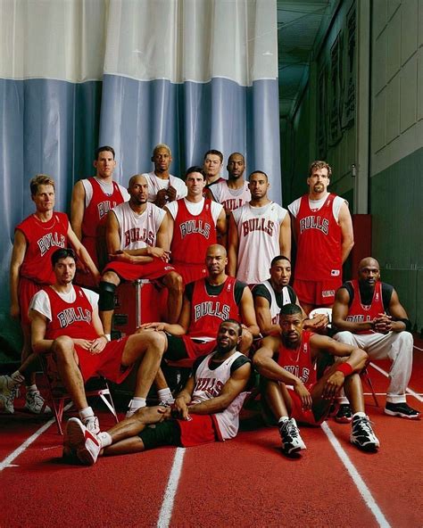 Chicago Bulls - 1996 NBA Champions, 8x10 Color Team Photo | eBay
