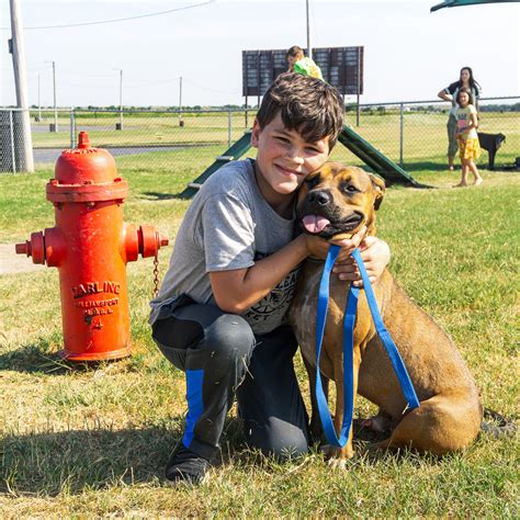 OnCue | OnCue Voted Best Dog Activity Park