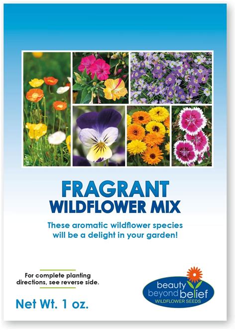 Amazon.com : Deer Resistant Wildflower Seeds - 1oz, Open-Pollinated ...