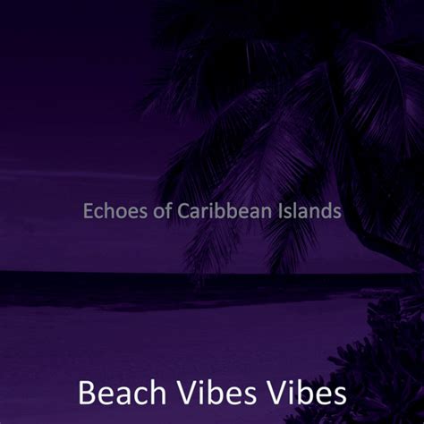 Echoes of Caribbean Islands - Album by Beach Vibes Vibes | Spotify