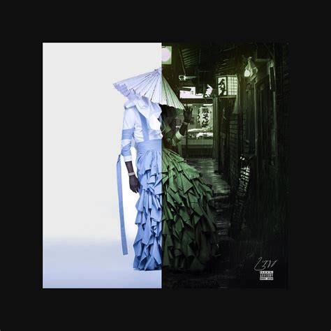 Young Thug Album Cover