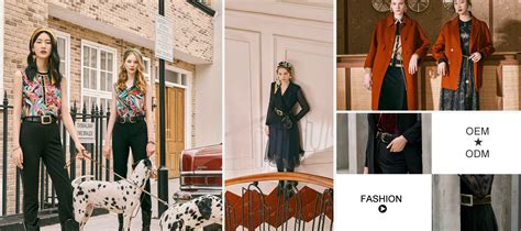 Company Overview - Wenzhou Hongshen International Trade Co., Ltd.