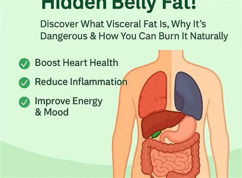 🧠 What Is Visceral Fat and How to Get Rid of It for a Healthier ...