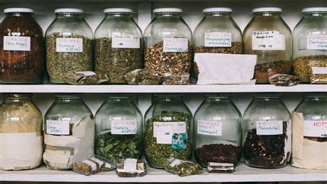 Herbal Medicine 的图像结果