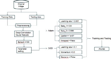 Using Convolution to Solve Problems 的图像结果