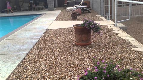 Image result for Screened Pool Landscaping