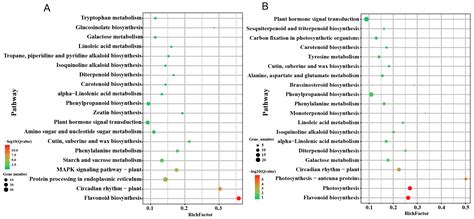 Physiological and Transcriptome Analyses of Photosynthesis in Three ...
