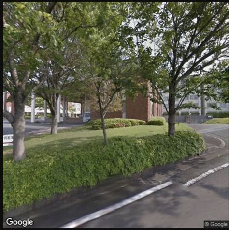 Image result for Street View Static API