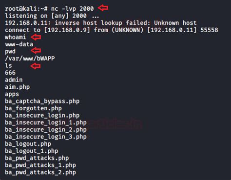Comprehensive Guide on OS Command Injection - Hacking Articles