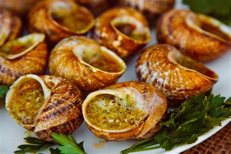 Best Foods For Snails at Troy Jenkins blog