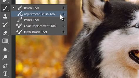 New Adjustment Brush Tool in Photoshop: Hit or Miss?